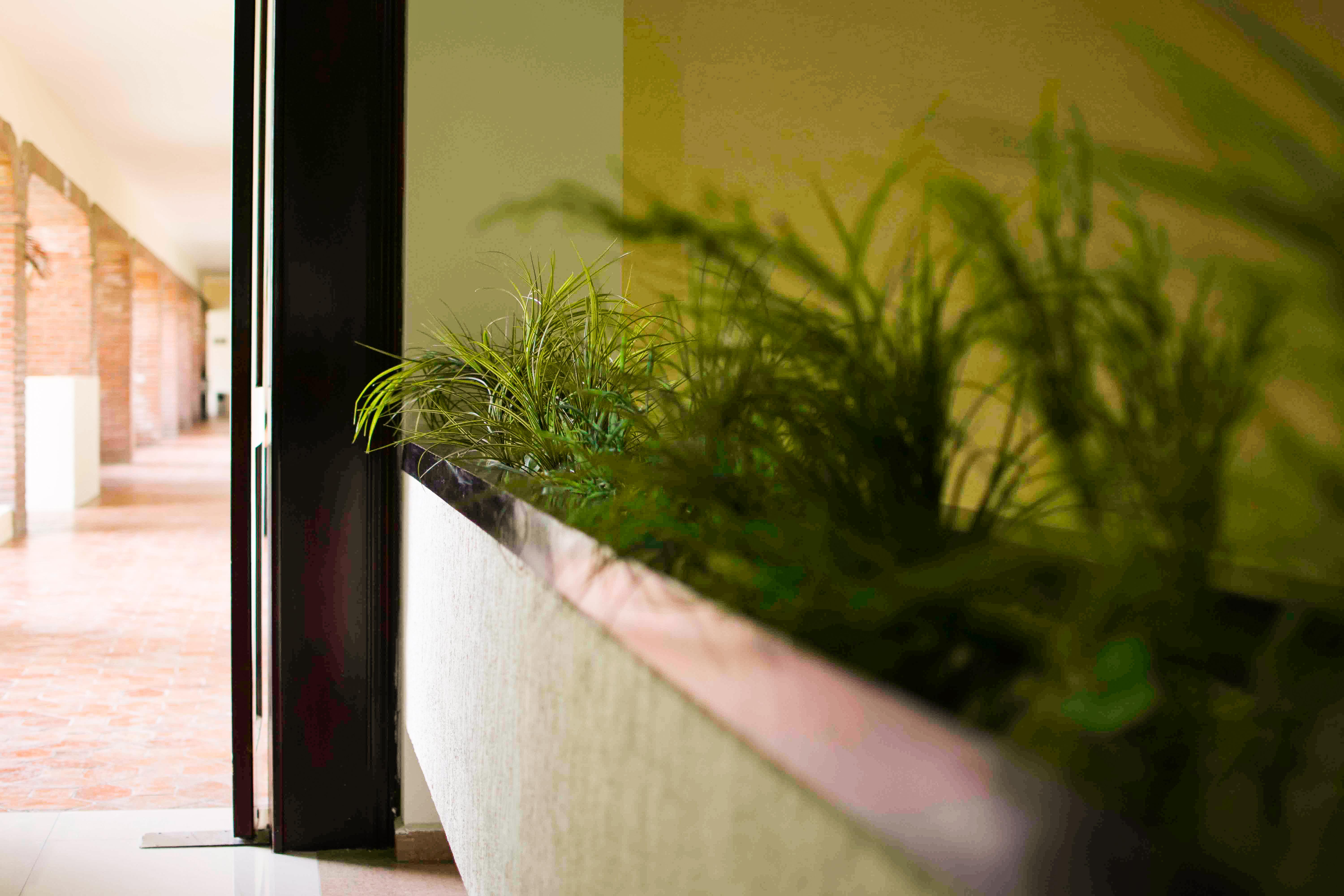 Wyndham Garden Aguascalientes Hotel & Casino 외부 사진